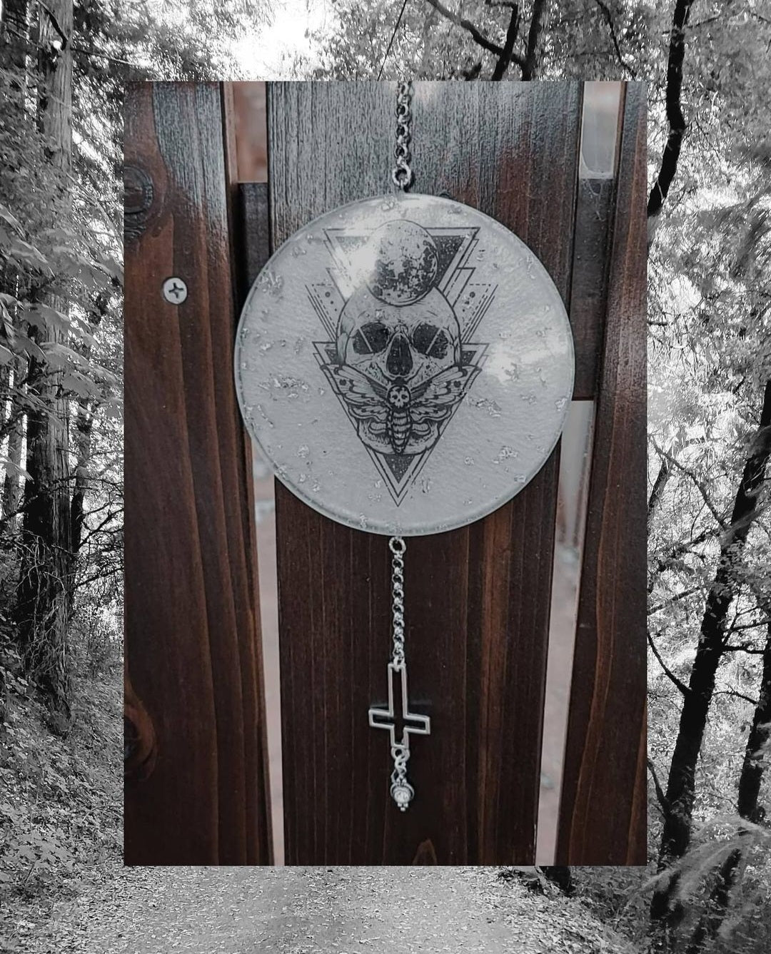 Resin - Deaths Head Hawk Moth Wall Hanger