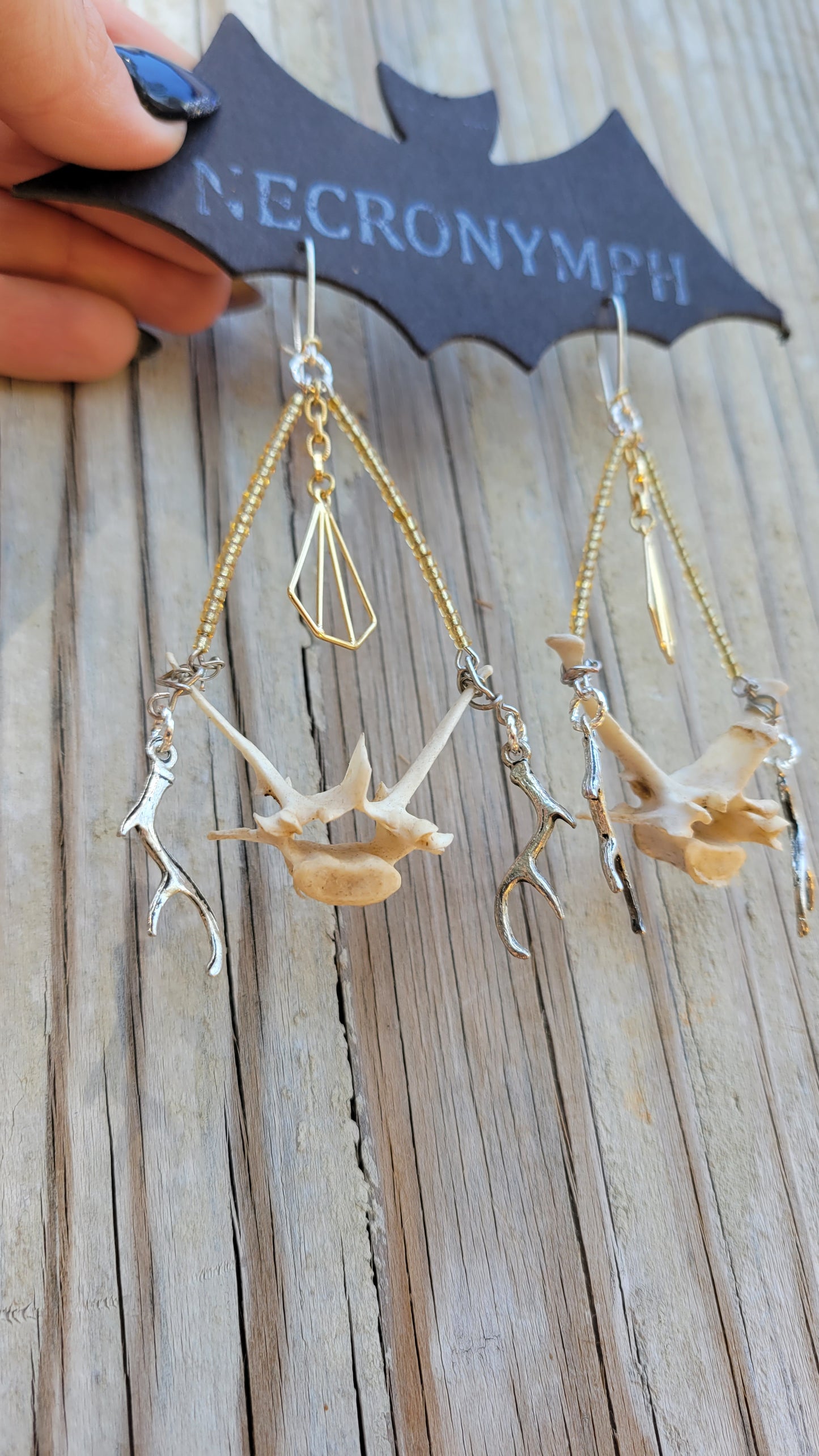 Armadillo Vertebrae & Antler Earrings
