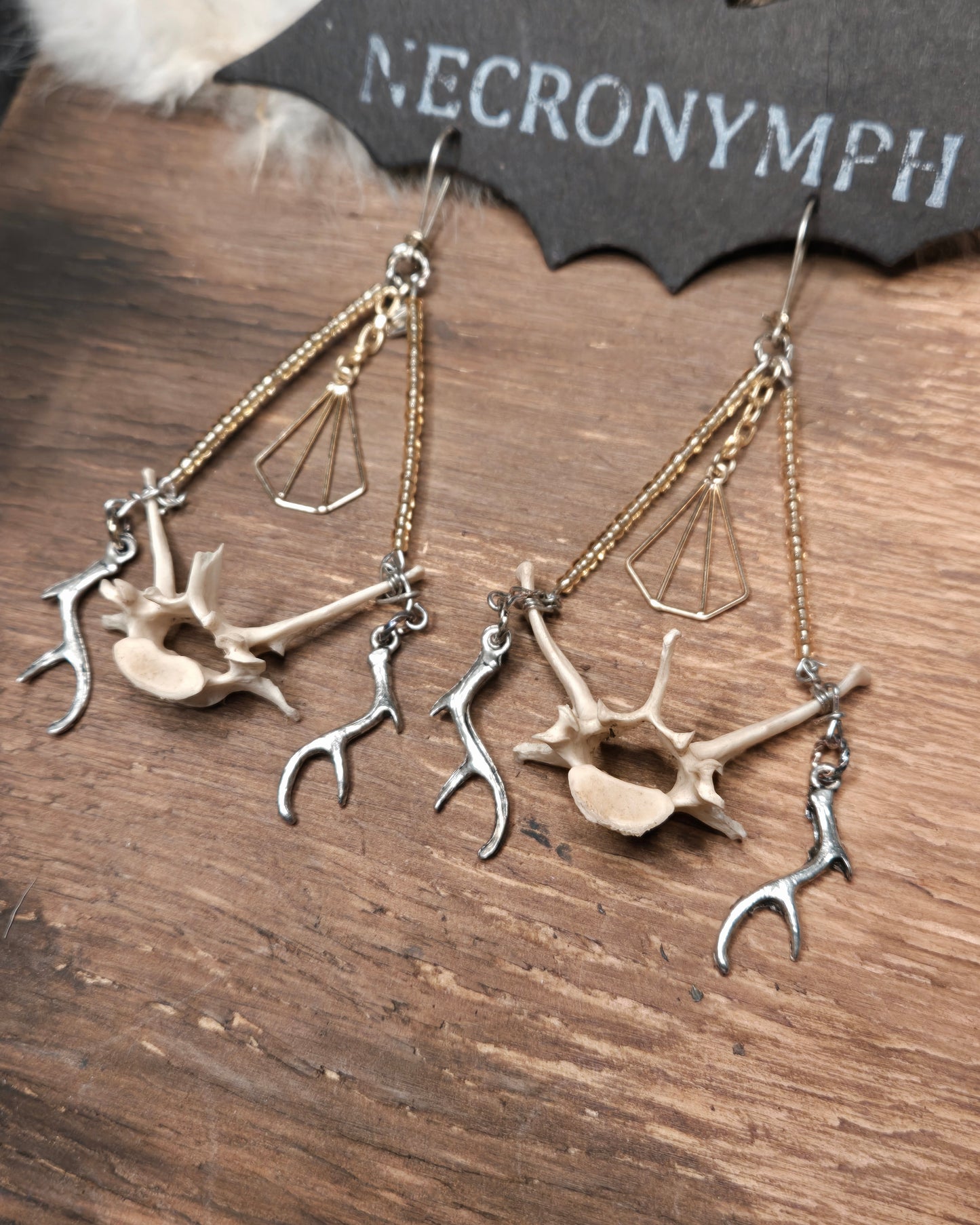 Armadillo Vertebrae & Antler Earrings