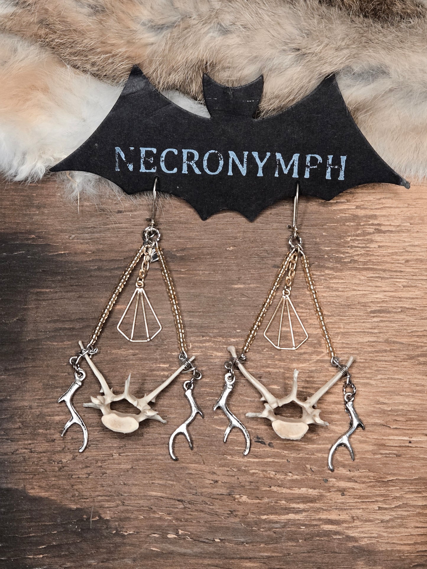 Armadillo Vertebrae & Antler Earrings