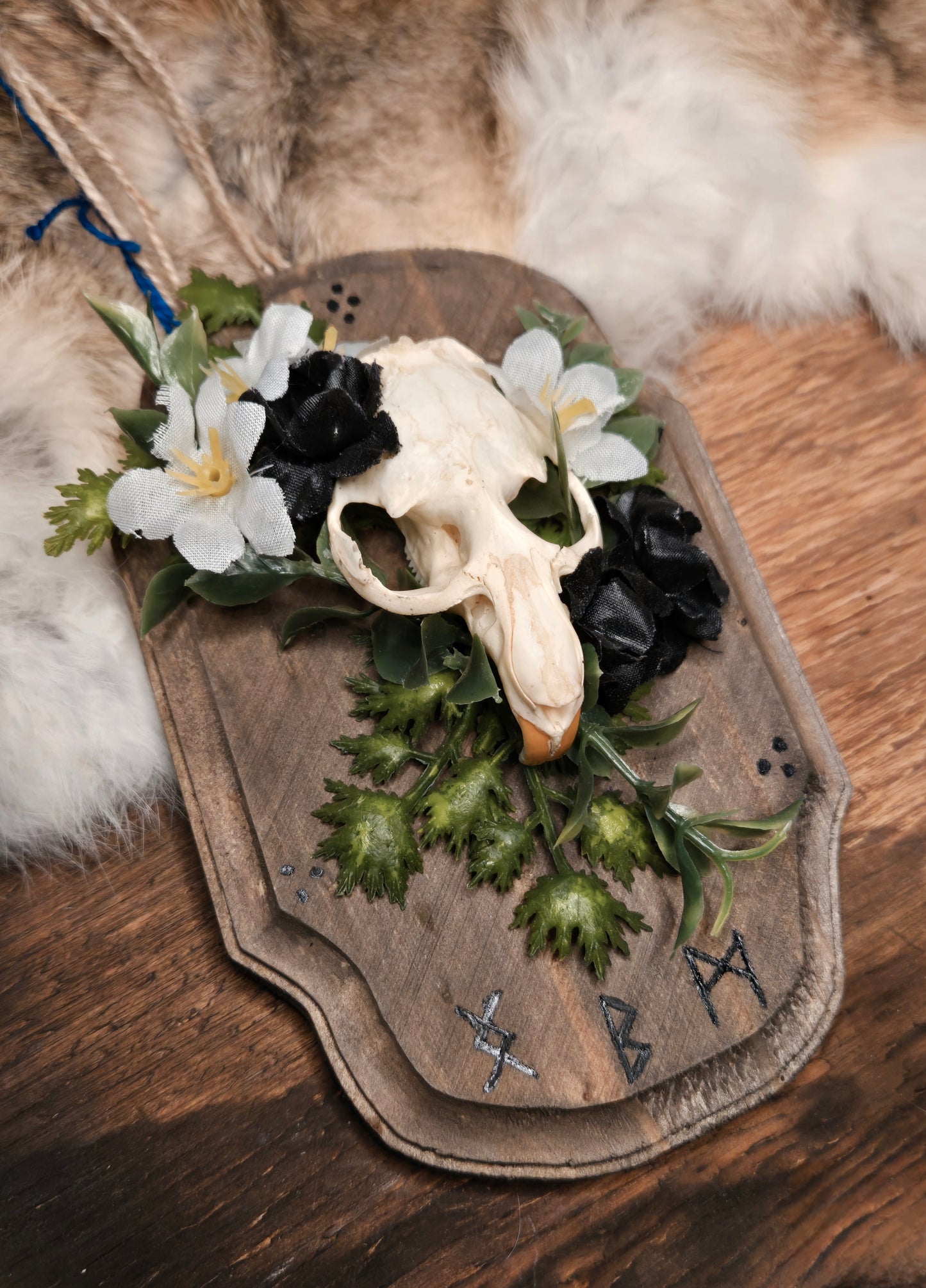 Muskrat Skull & Flowers, Protection Plaque