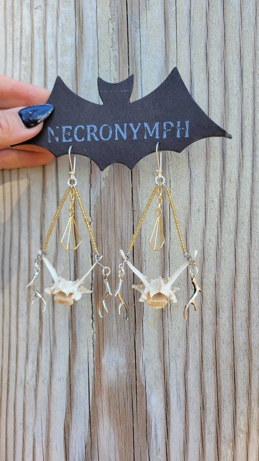 Armadillo Vertebrae & Antler Earrings