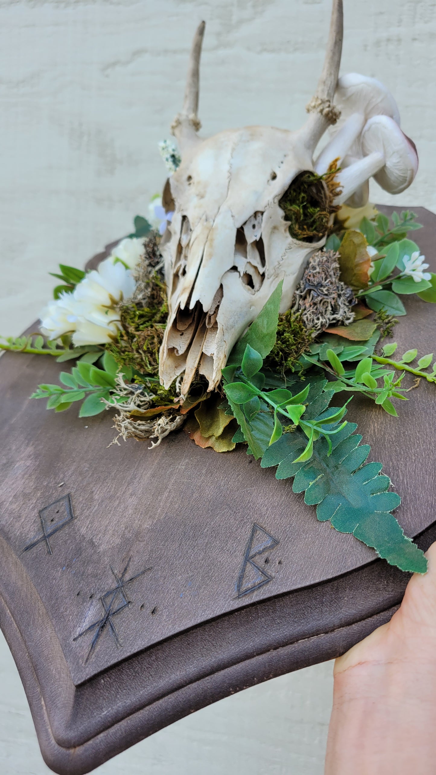 Buck Skull with Mushrooms, Bindrunes for Protection