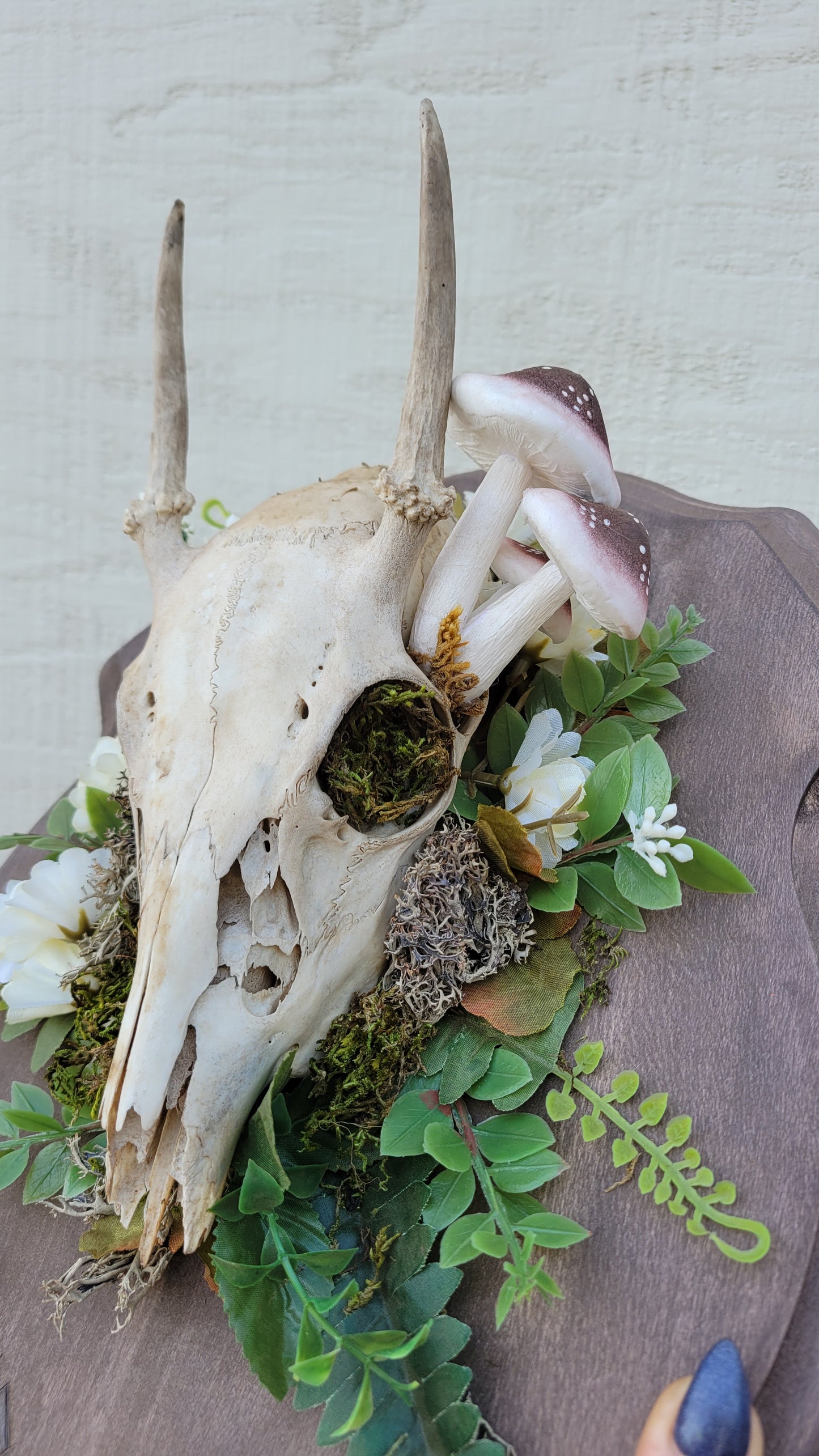 Buck Skull with Mushrooms, Bindrunes for Protection