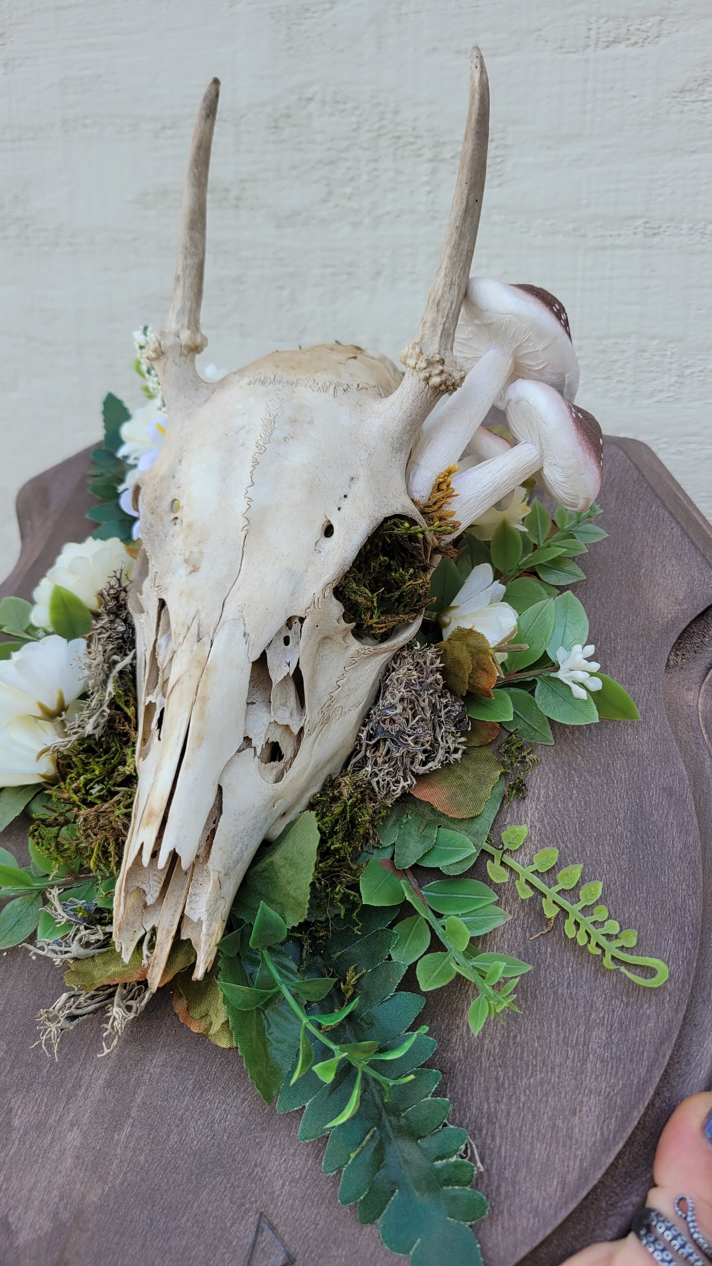 Buck Skull with Mushrooms, Bindrunes for Protection