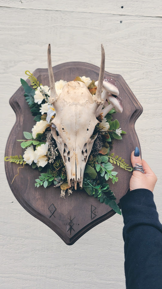 Buck Skull with Mushrooms, Bindrunes for Protection