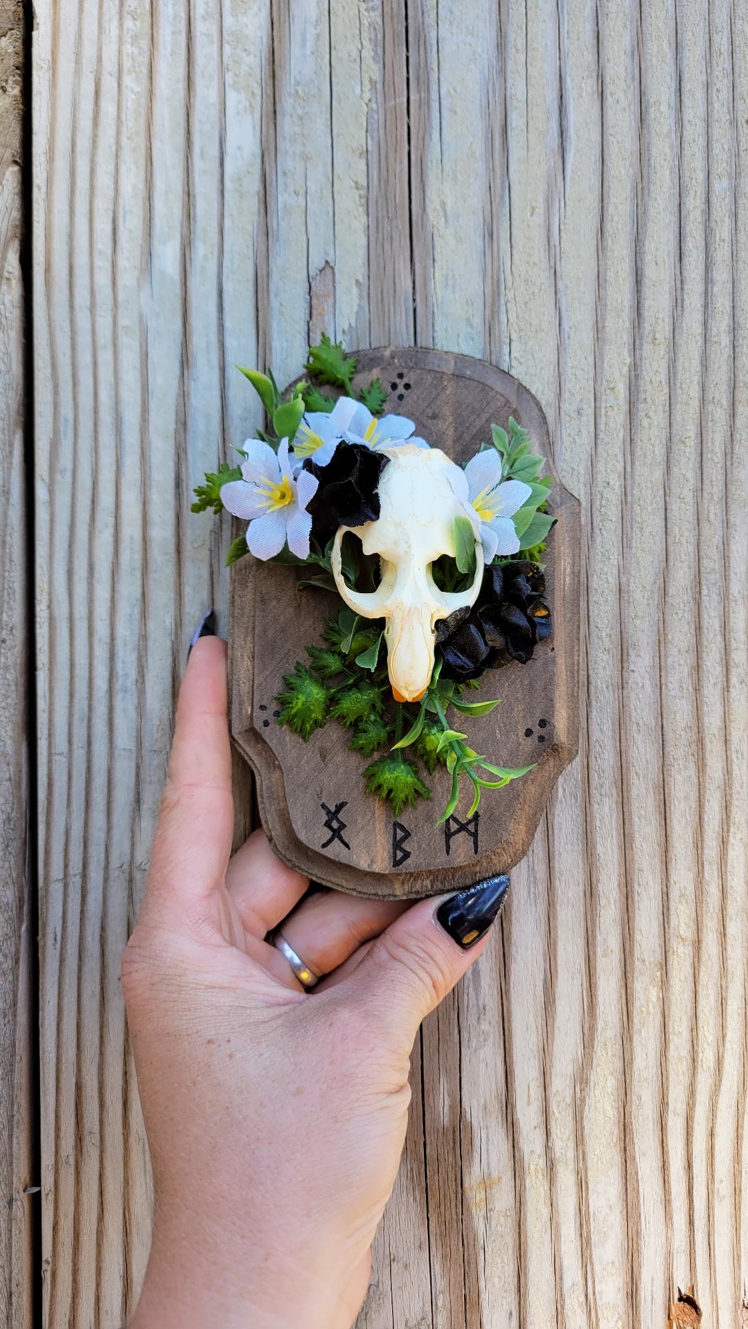 Muskrat Skull & Flowers, Protection Plaque